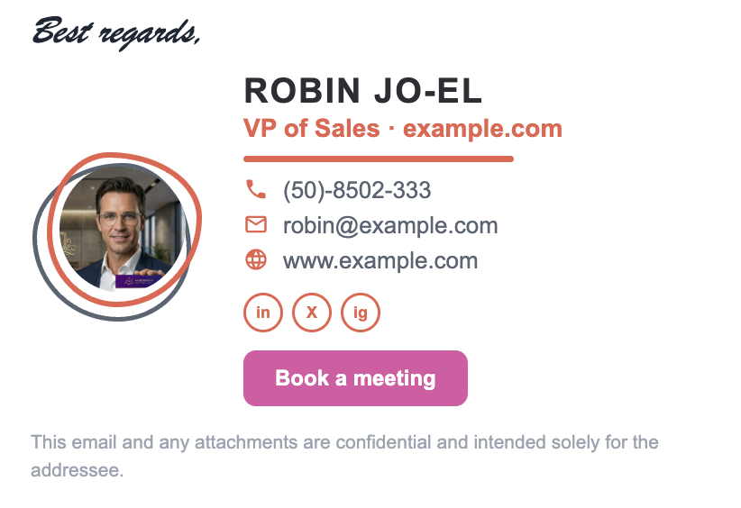 Professional email signature example for a VP of Sales with photo, contact details, social icons and a book-a-meeting button